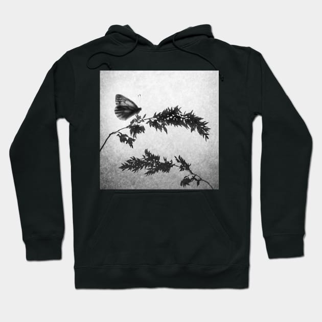 Butterfly on Meadow Grass Hoodie by TonyNorth